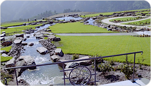Skylawn Memorial Park - Scene 2